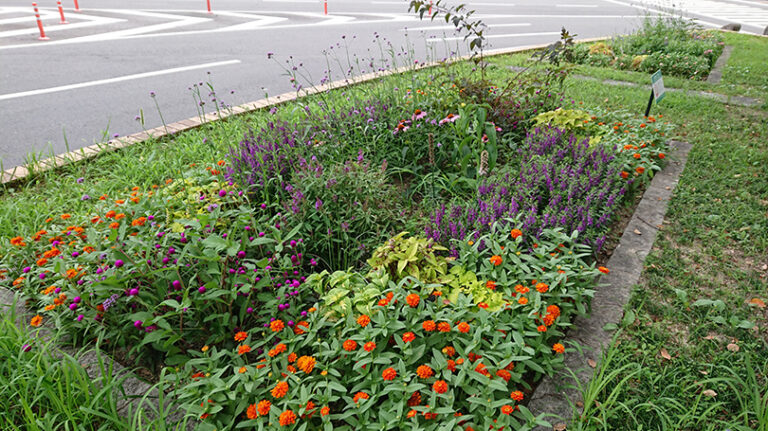 花の環フレンド限定スキルアップ講習会近日募集開始