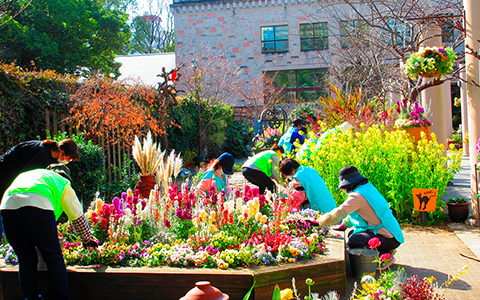 「参加する」イメージ