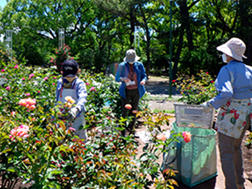 鶴舞公園ボランティア