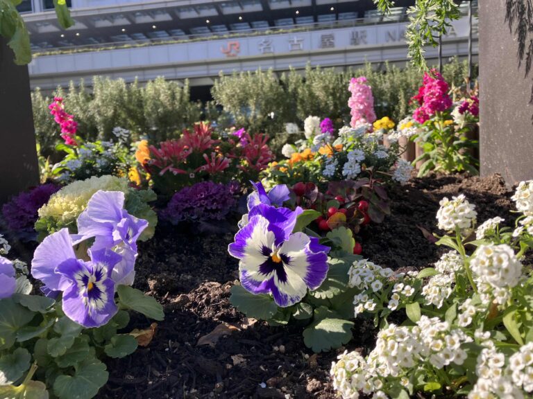 「花の環花だん」冬の球根植えつけ講習会（名古屋駅前編）開催しました　