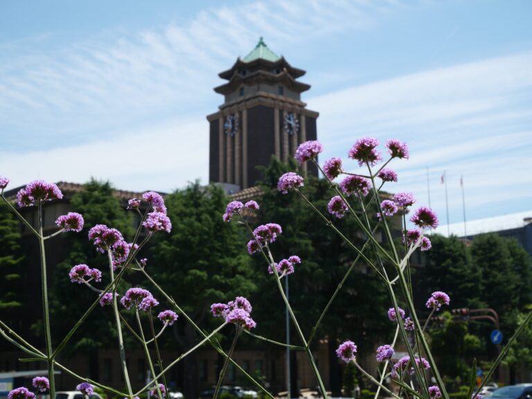 「花の環花だん」夏の花植え講座（市役所前）開催しました　
