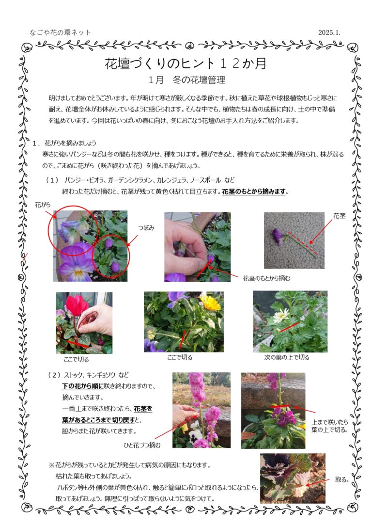 花壇づくりのヒント12か月スタート