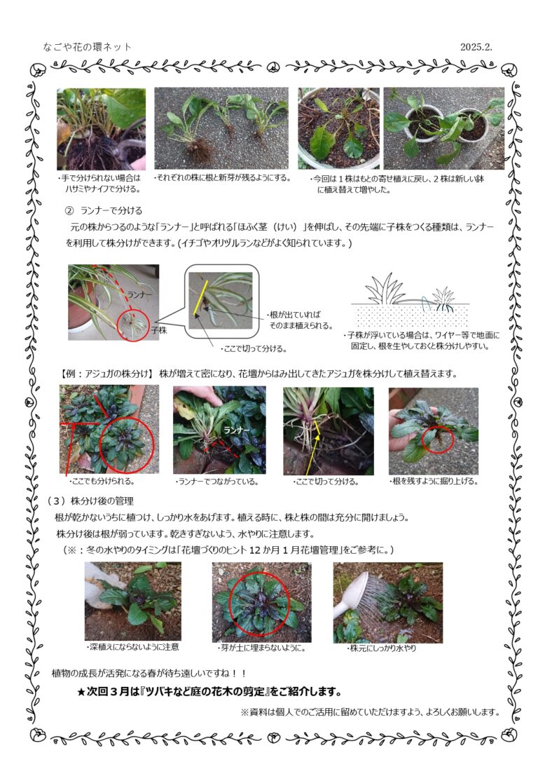 『花壇づくりのヒント12か月』第2弾