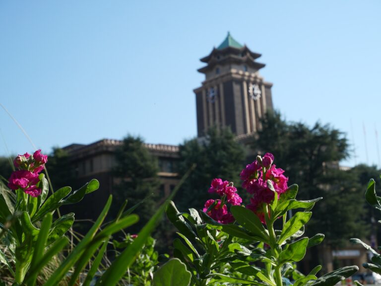 「花の環花だん」冬の花植え講習会（市役所前）開催しました