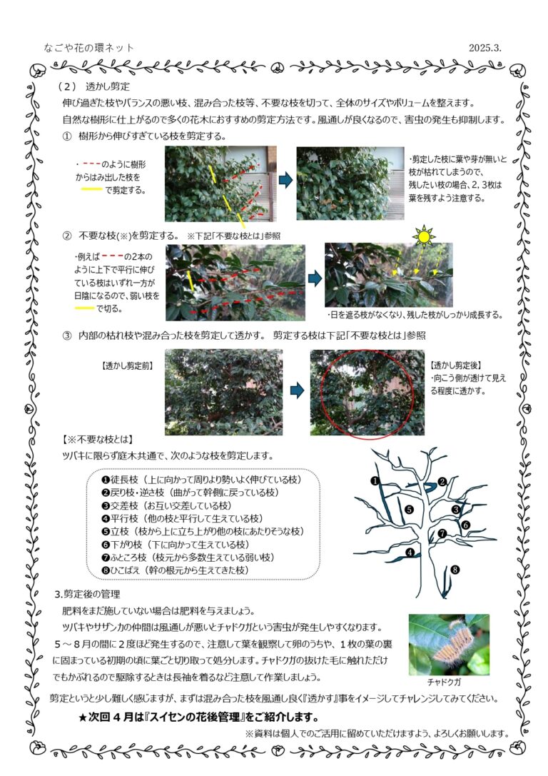 『花壇づくりのヒント12か月』第３弾