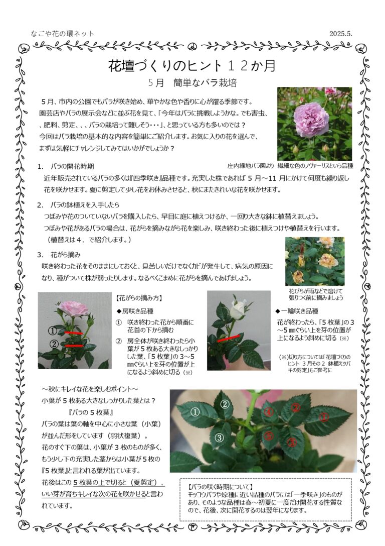 『花壇づくりのヒント12か月』第５弾