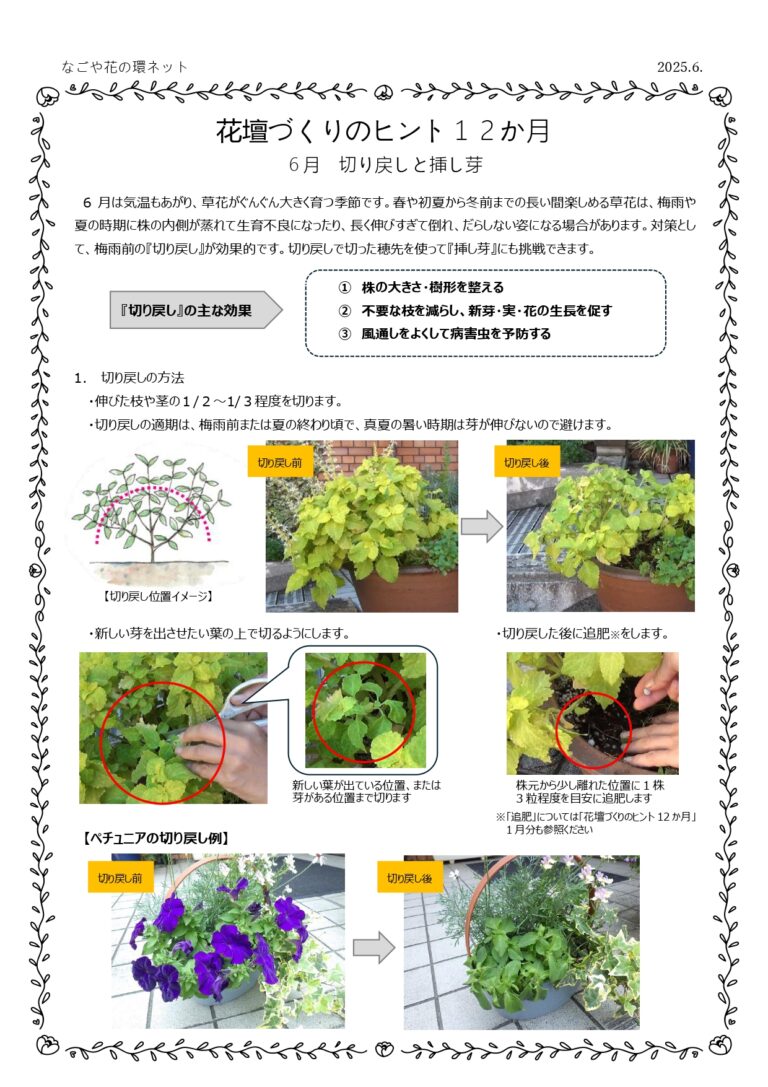 『花壇づくりのヒント12か月』第６弾
