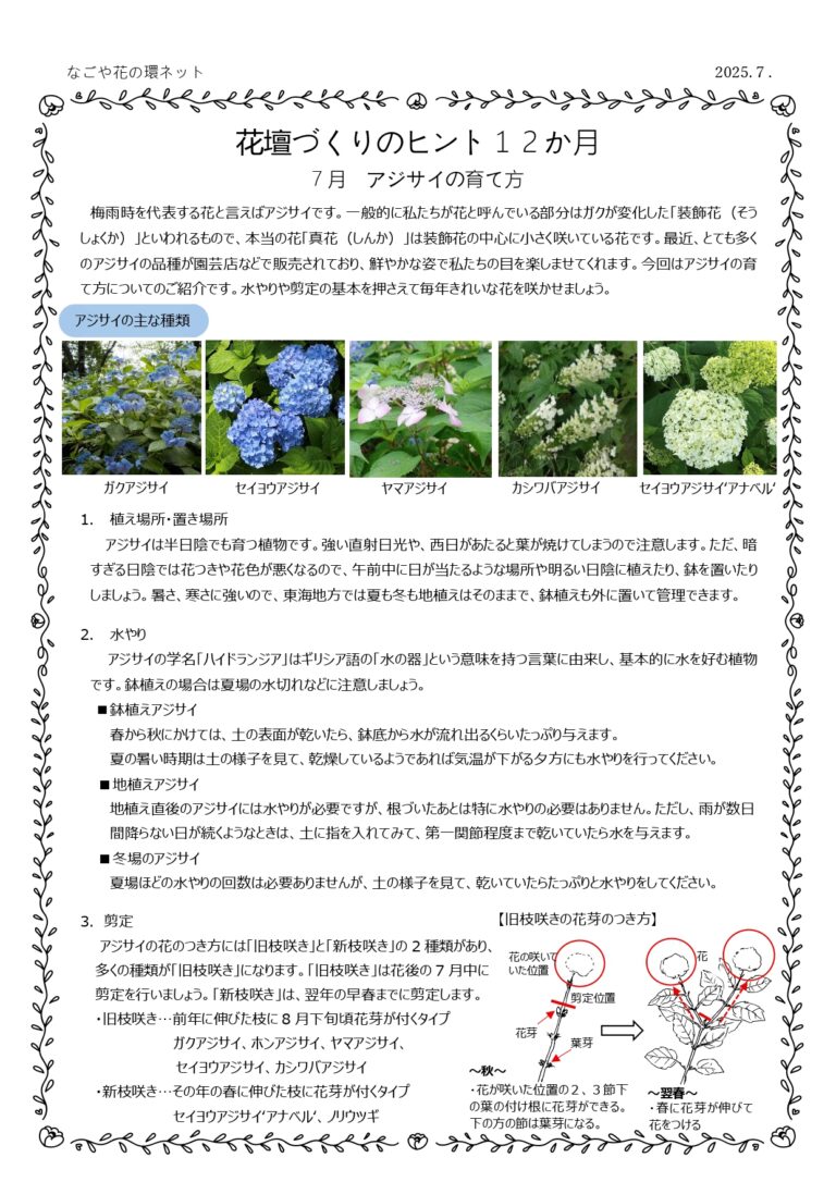 『花壇づくりのヒント12か月』第７弾