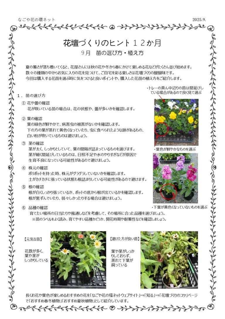 『花壇づくりのヒント12か月』第９弾