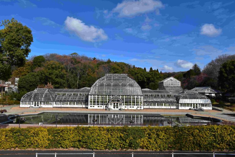 フレンド限定 R7.10月 なごや花の環ネット『東山植物園ガーデンツアー』募集開始