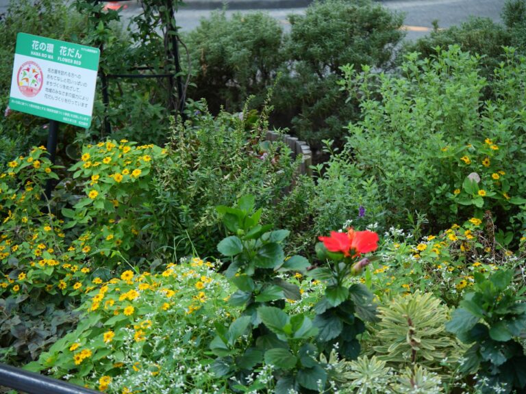 「花の環花だん」秋の花壇の手入れと楽しみ方講習会（名古屋駅前）を開催しました　