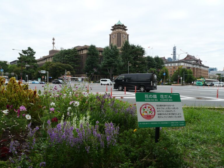 「花の環花だん」秋の花壇の手入れと楽しみ方講習会（市役所前）開催しました　