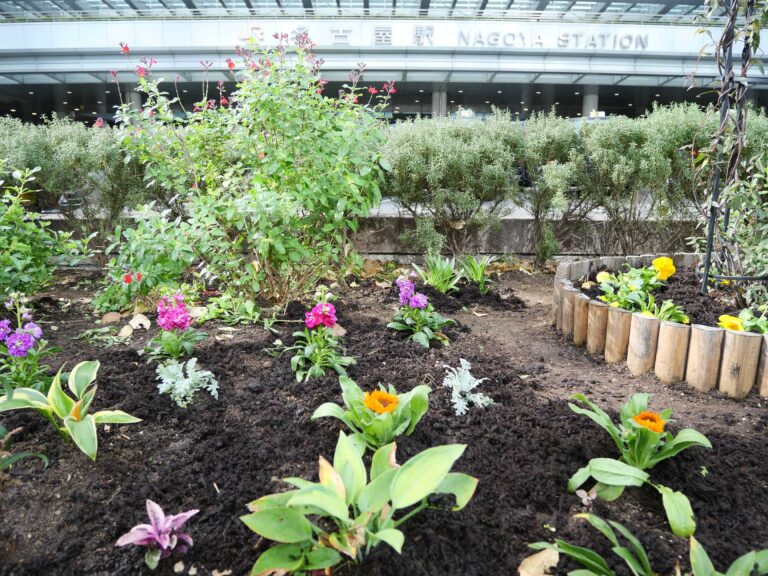 「花の環花だん」冬の花植え講習会（名古屋駅前）を開催しました　