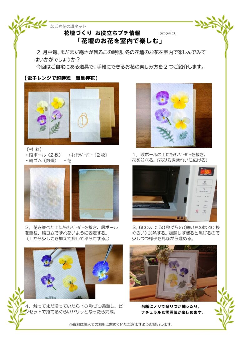 花壇づくり お役立ちプチ情報「花壇のお花を室内で楽しむ」